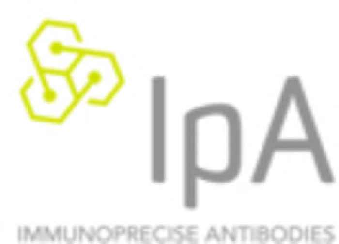 IPA’s Subsidiary BioStrand Secures Second VLAIO Research Grant