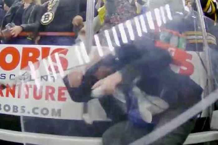 Strange injury hospitalises ice hockey official as glass panel smacks him on head