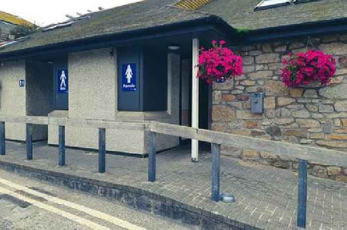Westcountry town to charge tourists to use toilets - but not locals