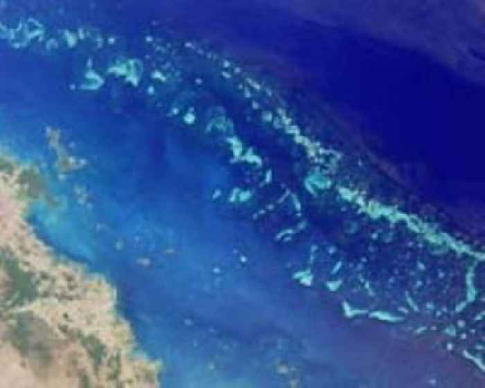 Summer heatwave bleaches 91% of Great Barrier Reef: report