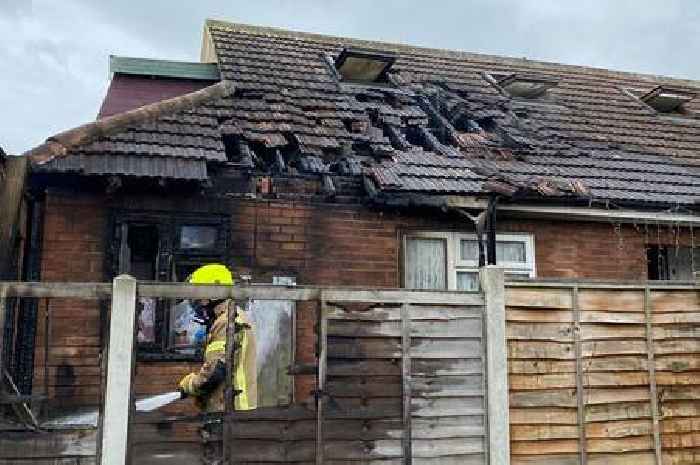 Colchester fire: Dogs, cats, birds and pigs saved from house fire which started in the garage