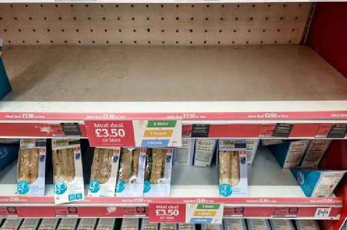 All the items Sainsbury's, Tesco, Aldi and other supermarkets have pulled from shelves after salmonella found in chicken