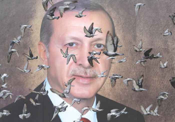 Erdogan adviser: Turkey 'not closing door' to Sweden, Finland NATO entry