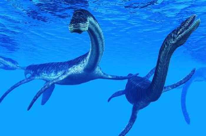 Getting to the bottom of the Loch Ness monster mystery