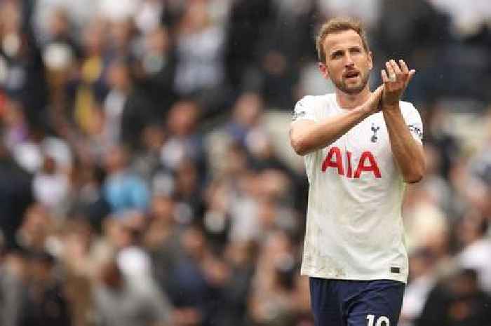 Tottenham supporters send message to Harry Kane after Burnley victory takes them above Arsenal