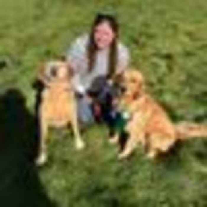 Woman who died alongside three dogs after being hit by car named by police
