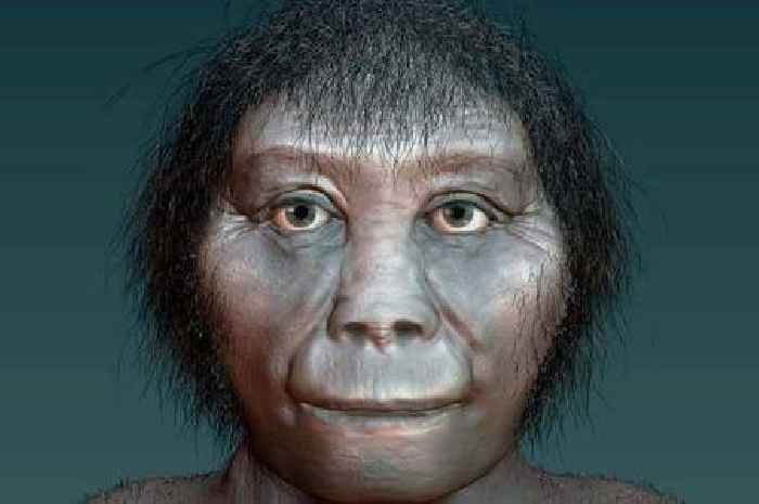 Early human species nicknamed hobbit 'could still be alive today'