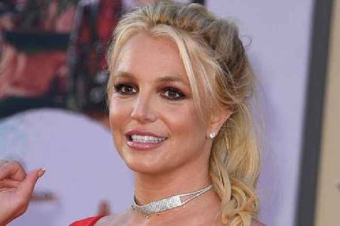 Fans praise Britney Spears for breaking 'stigma' of 12-week rule after star opens up about miscarriage