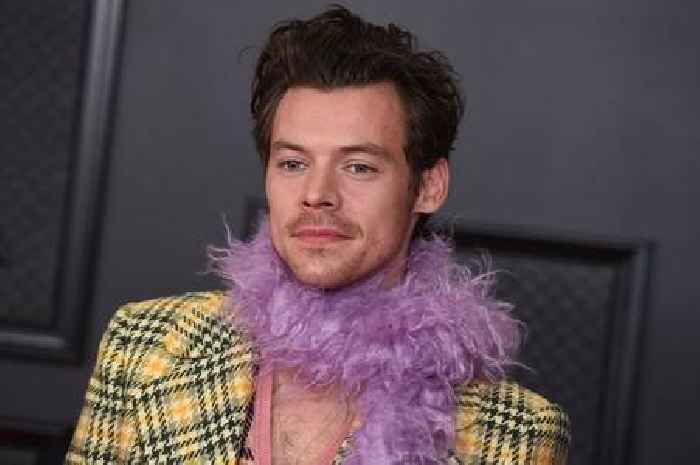 Harry Styles is latest star to read CBeebies Bedtime Story