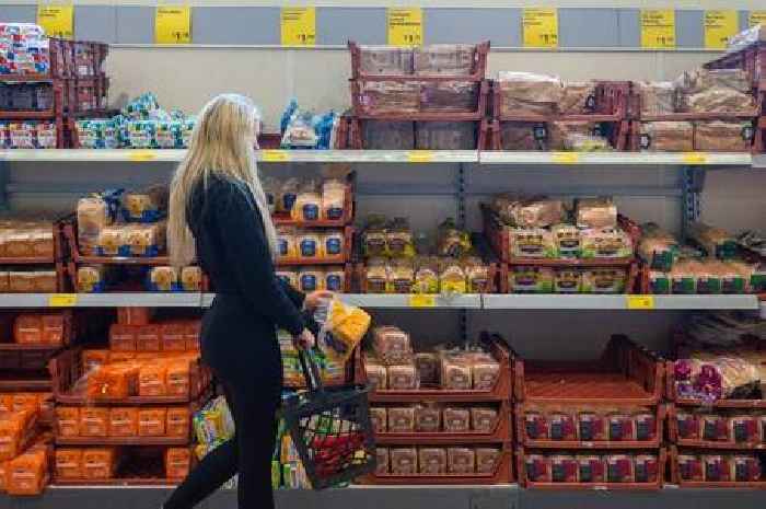 Warning over 'apocalyptic' food prices and 'income shock' from energy costs
