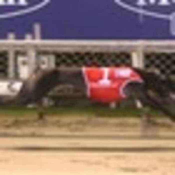 Greyhound racing: Charlotte Lu claims deserved Group 1 victory