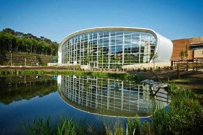 Center Parcs family check in and find cleaner dead inside lodge