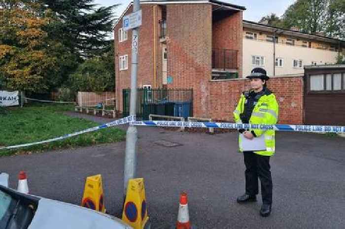 Harlow murder trial: Man accused of murder 'feared for his life' after witnessing fatal stabbing, court hears