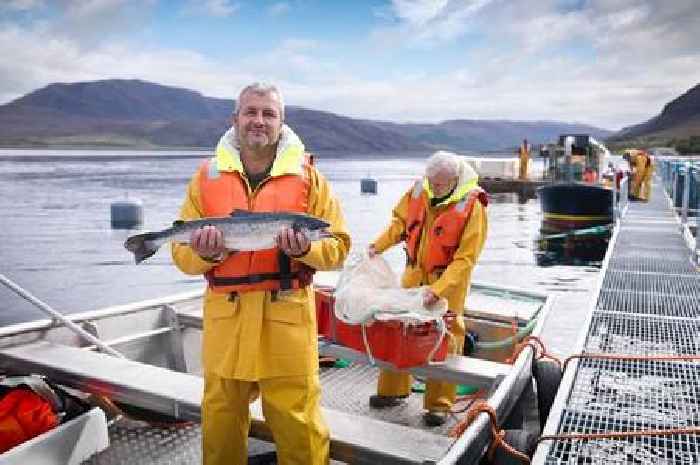 Scottish seafood exports at risk from planned Tory breach of Brexit trade deal
