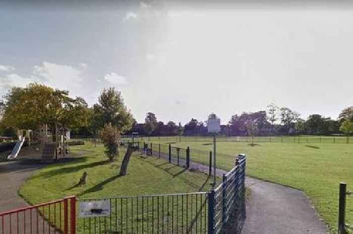 Teenage girl’s face mauled by dog while helping owner put on harness in park
