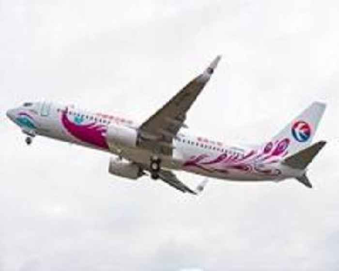 Flight data shows China Eastern jet deliberately crashed: report