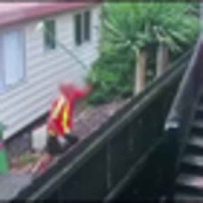 NZ Post courier seen lashing out at dog while delivering package