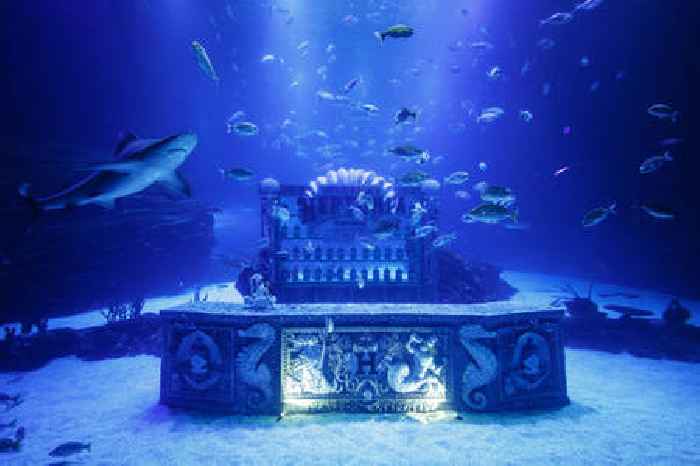 World's first underwater bar opens to mark the launch of Hendrick's Neptunia Gin