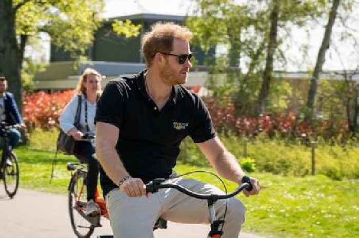 Prince Harry's parenting stance met with 'pot kettle black' claim