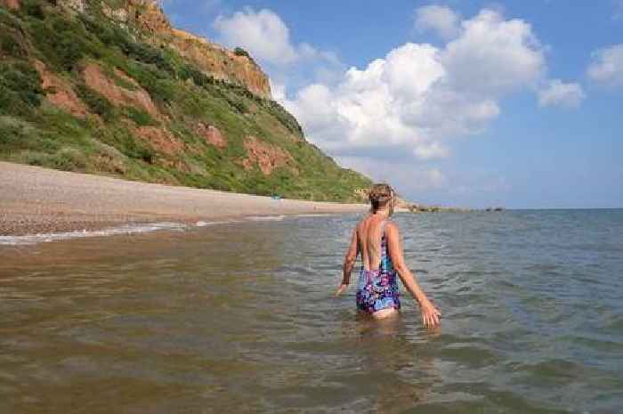 New wild swimming and walking guide reveals the glories of East Devon