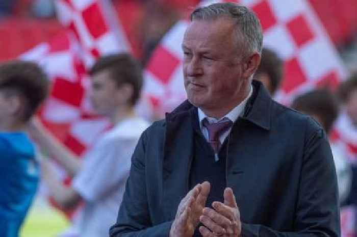 Michael O'Neill excited about young recruits lined up for Stoke City transfer window