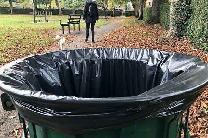 Plea to public not to wee in litter bins