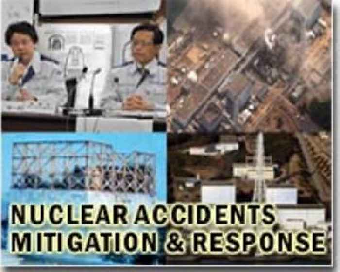 IAEA chief praises progress on Fukushima decommissioning