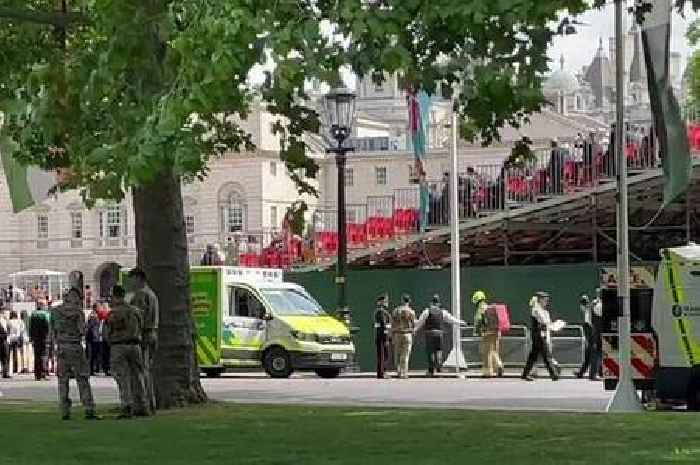 Trooping the Colour stand collapse leaves woman injured