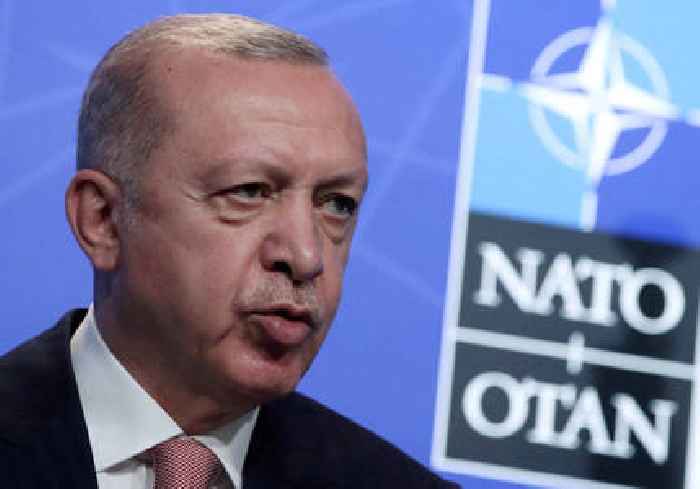 Erdogan discusses NATO concerns with Finland and Sweden