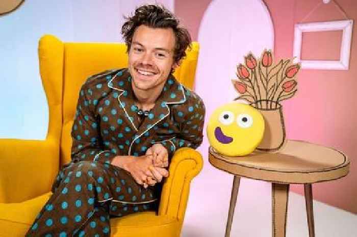 CBeebies Bedtime Story sees Harry Styles match the theme