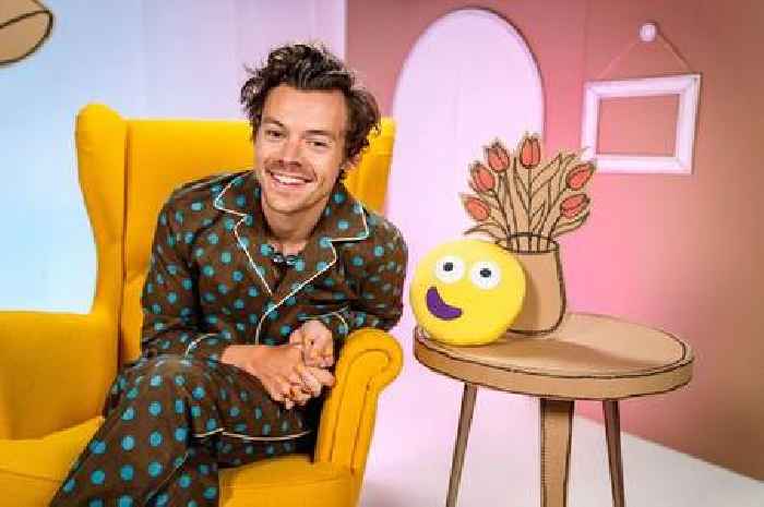 Harry Styles dons pyjamas for BBC CBeebies Bedtime Story
