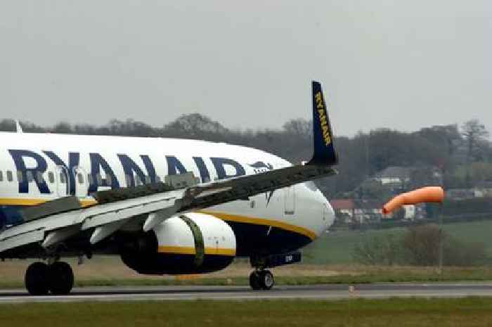 Ryanair attendant arrested and fired after 'downing booze' on flight
