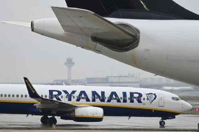 Ryanair flight attendant arrested after 'downing booze' on flight