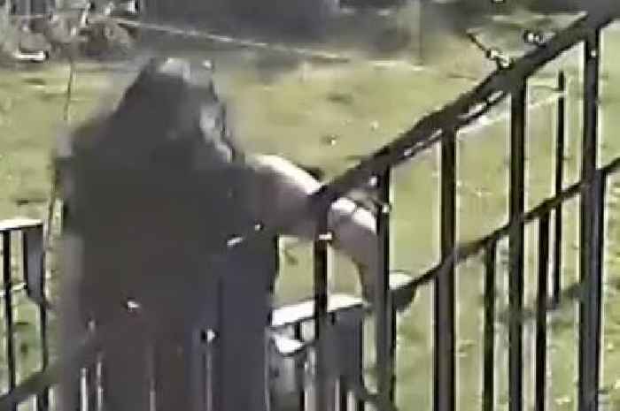 Sickening footage shows moment dog mauls Scots girl in Glasgow garden