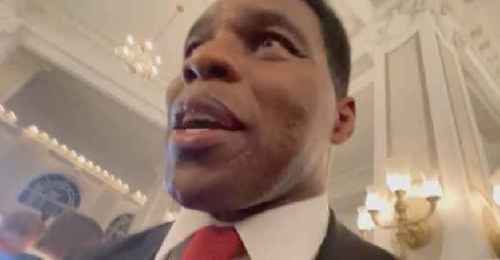 ‘What I’d Like to Do Is See It and Everything and Stuff’: Herschel Walker Responds to Question About Gun Laws After Texas School Shooting
