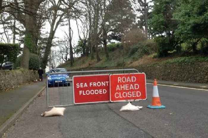 Popular Torquay seafront road to shut for roadworks