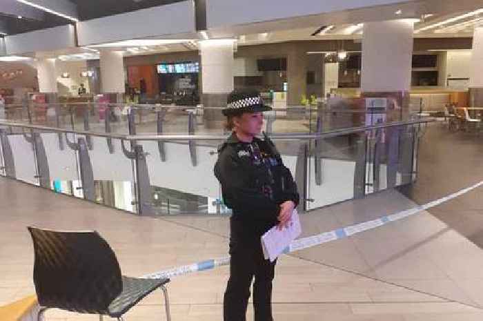 Lakeside Shopping Centre murder: Woman arrested in connection to Michael Ugwa murder investigation