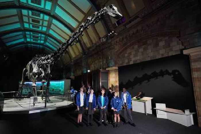 Jurassic giant Dippy the Dinosaur makes huge return to Natural History Museum