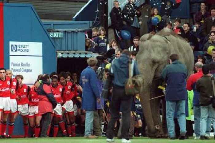 Elephant once paraded around pitch before Premier League game - and even got booked