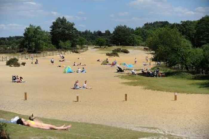 The hidden Surrey beach that's perfect for a dip this Jubilee Bank Holiday