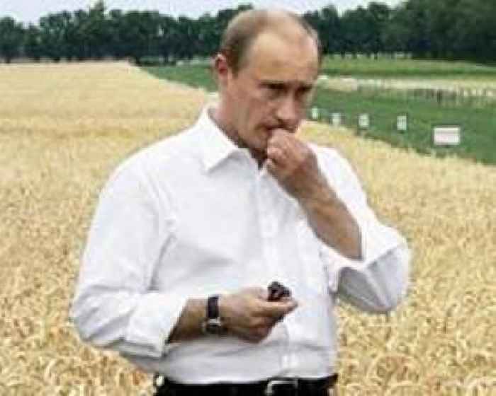 Putin ready to help overcome food crisis if West lifts sanctions