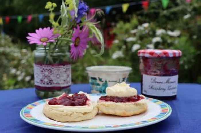 Enjoy a cream tea to raise funds for Children's Hospice South West