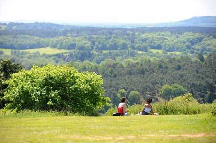 12 glorious parks in Surrey to sunbathe and picnic for free on a sunny day