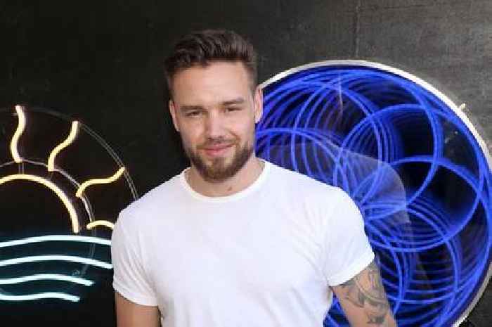 Liam Payne 'dislikes' Zayn Malik for 'many reasons' and fans are blasting him for his comments