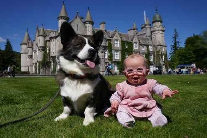 Pack of Queen’s favourite dogs gather at Balmoral Castle in Platinum Jubilee celebration