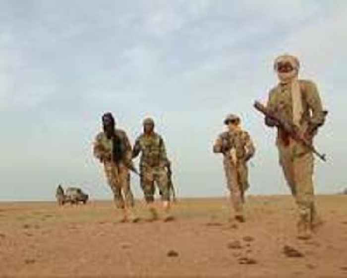 Two soldiers killed, nine injured in Mali ambush: army