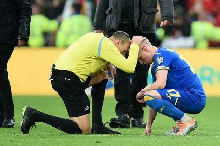 Referee Antonio Lahoz's emotional side spotted after Ukraine's heartbreak vs Wales