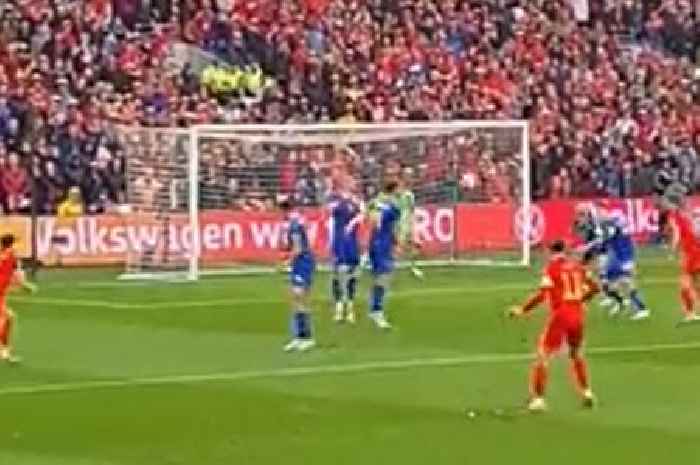The angle that proves Gareth Bale should have been awarded the goal that sent Wales to the World Cup