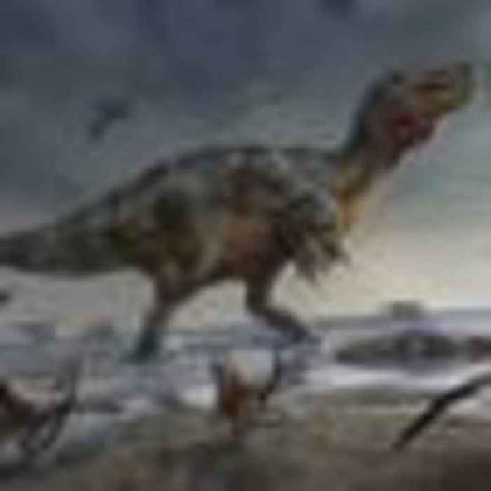 Largest-ever land-based predator dinosaur found on the Isle of Wight