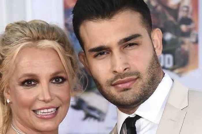 Britney shares fairytale wedding joy with fans after 'small and beautiful moment'